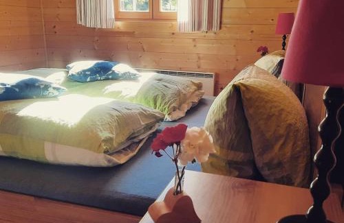 Reichenau Cabina | Marhütte