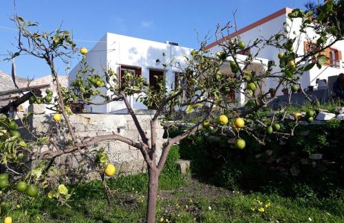 Syros Apartamento | MARIA GUESTHOUSE KINI