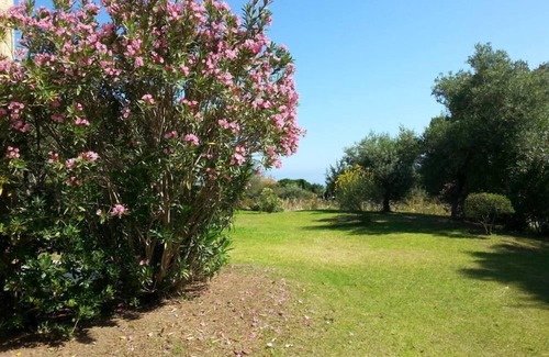 Marine de Saint Ambroggio Apartamento | Marina De San Ambroggio: Piso / apartamento - Lumio