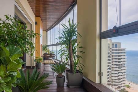 Medina Apartamento | Marina Family Chalet - By AppartAli