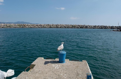 Kalamata Marina Apartamento | Marina Kalamatas Penthouse