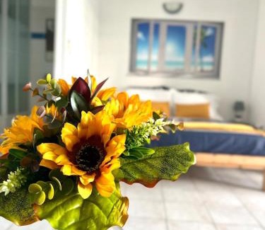 Le Marin Apartamento | Marina Sun Tropic