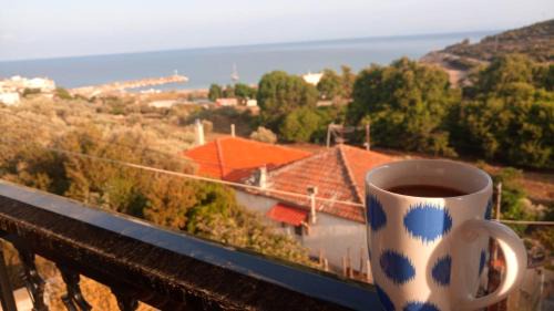 Skala Marion Apartamento | Marino's House
