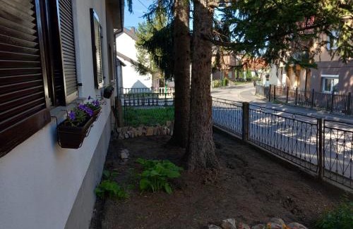 Mali Radic Apartamento | Mario