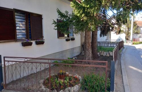Mali Radic Apartamento | Mario