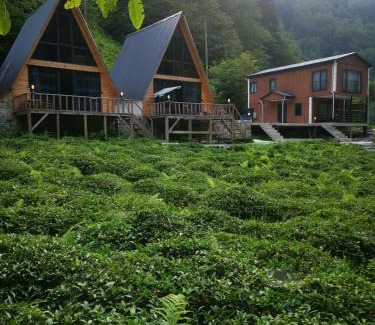 Ayder Chalet De Esquí | Mariposa Bungalov