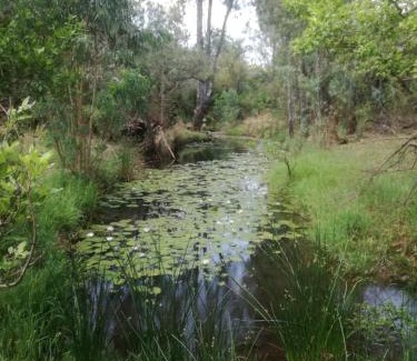 Ramotshere Moiloa Cabina | Marlothii Game Reserve