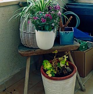 Vranjic Apartamento | MarMi Split