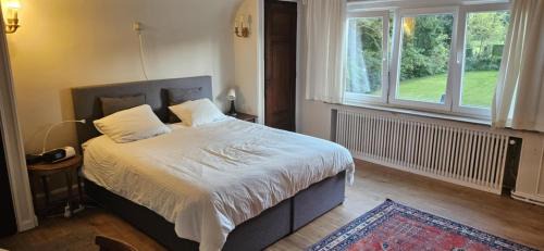Polleur Cama Y Desayuno | Marmouset