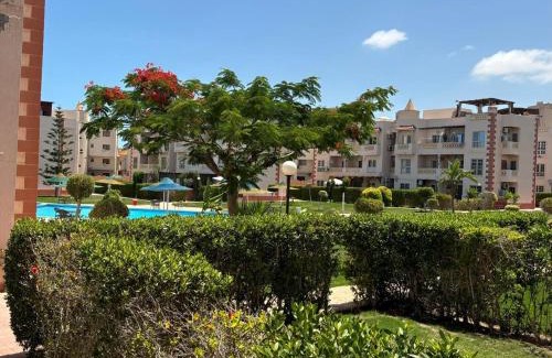 Al Alamayn Chalet De Esquí | Marselia Beach 1 Camellia