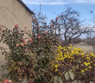 Issyk-Kul Region Casa | "Martin" guest house