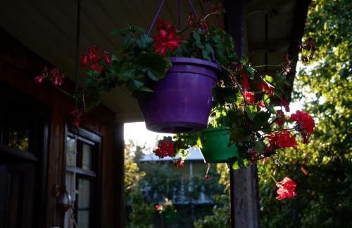 Salkhino Casa | Martvili Guest House OASIS
