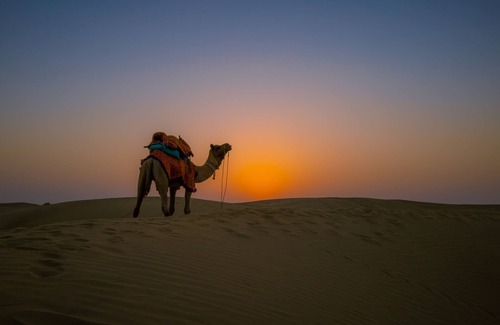 Kanoi Alquiler De RV | Marvin Desert Camp