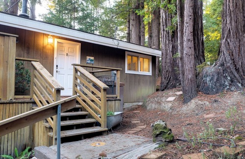 Anchor Bay Casa | Mary's Beach Bungalow, Hot Tub and Dog Friendly