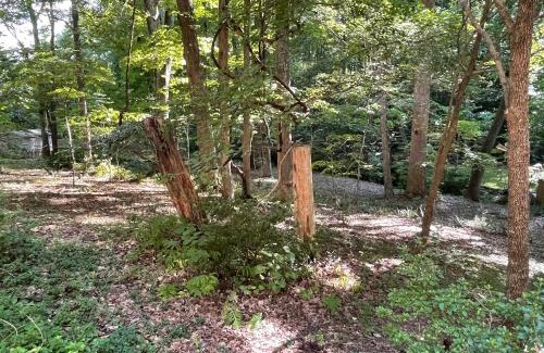 High Point Apartamento | Mary's Place - Studio surrounded by nature but close to High Point