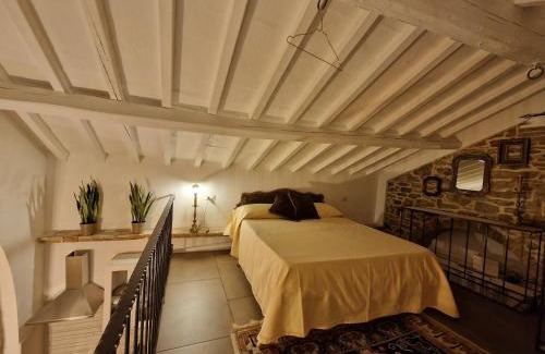 Macchia Casa | Mary wine house