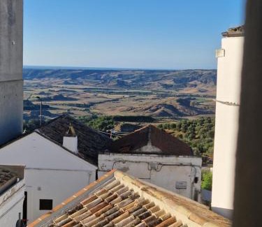 Macchia Casa | Mary wine house