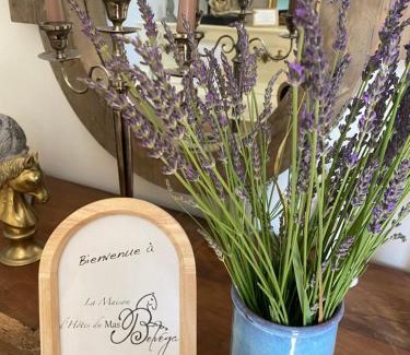 Drome Sud Provence Cama Y Desayuno | Mas Belvega