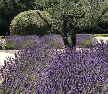 Gordes Hotel | Mas De La Senancole & Spa