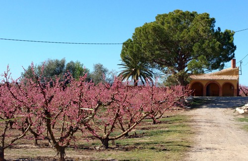 Fraga Cabaña | Mas del Petit Casa Rural
