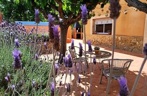 Costa Cunit Casa | MAS DEL VENT- Barbacoa, jardín, piscina privada y vistas a mar