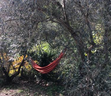 Arphy Apartamento | Mas du ciel en Cévennes