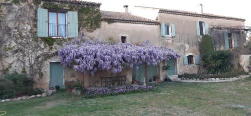 Mouries Casa | mas le devenson
