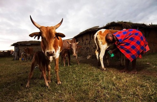 Monduli Otro | Masai Village Stay Tanzania