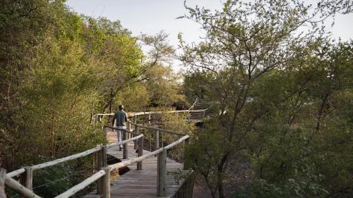 Mashatu Game Reserve Cabina | Mashatu Lodge