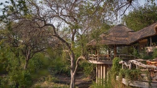 Mashatu Game Reserve Cabina | Mashatu Lodge