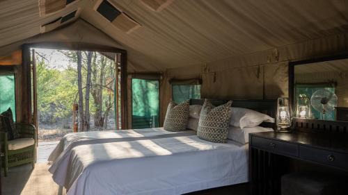 Northern Tuli Game Reserve Otro | Mashatu Tent Camp