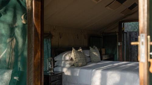 Northern Tuli Game Reserve Otro | Mashatu Tent Camp