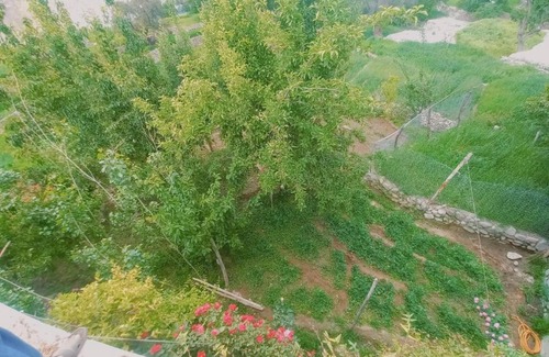 Azad Kashmir Casa | Masherbrum House Local Homestay in Khaplu