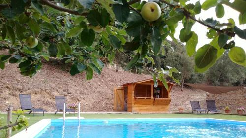Sant Feliu de Buixalleu Casa | Masia Can Orta