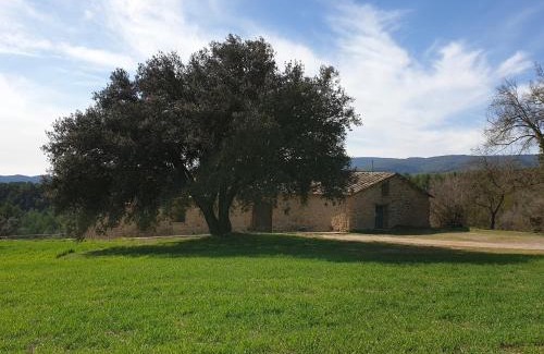 La Baronia de Rialb Casa | Masia l`Arà