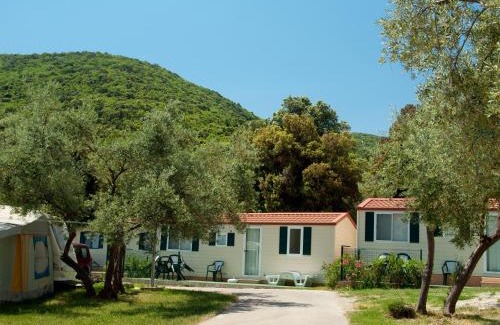 Labin Complejo | MASLINICA Oliva Camping