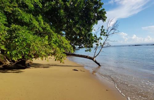 Sava Complejo | Masoala bungalows