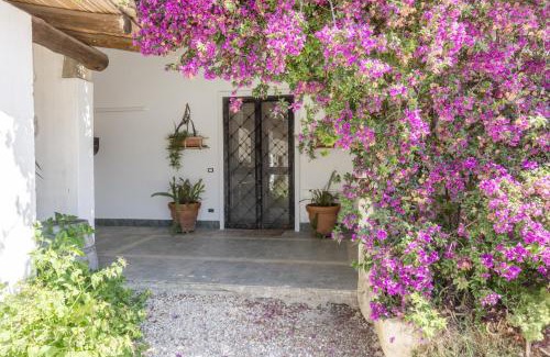 Torre Santa Susanna Casa | Masseria Bellamarina