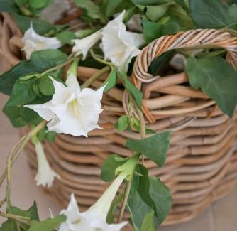 Fasano Casa | Masseria Don Luigi-Luxury Farmhouse