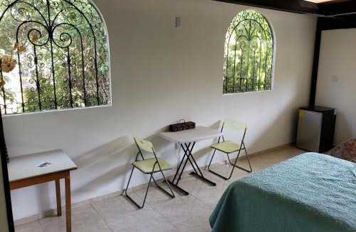 Tequisquiapan Apartamento | MASTER SUITE JARDIN