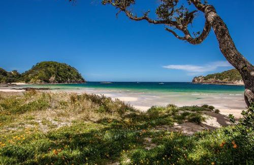 Matapouri Casa | Matapouri Memories