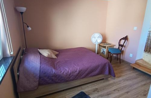 Wiselka Casa | Mateo