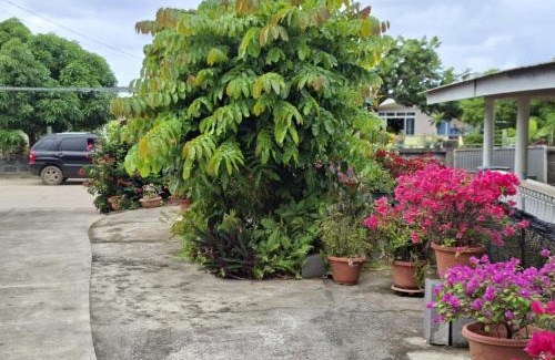Maupiti Casa | Maupiti