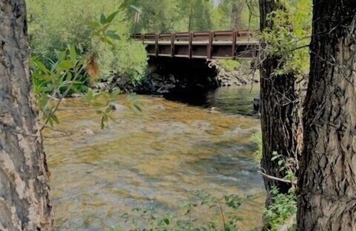 Clark Cabina | Maverick - 2 bedroom, 2 bath cozy cabin with kitchen. Has park and pond views