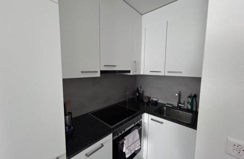 Schaffhausen Apartamento | Max Apartments