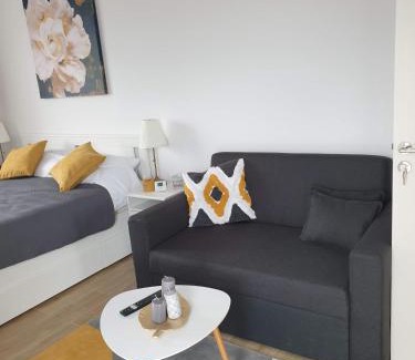 Tirgu Mures Apartamento | Max Studio