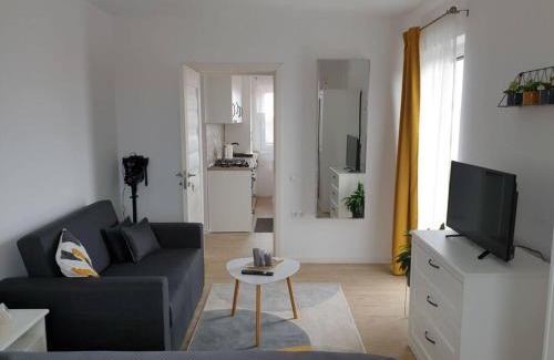 Tirgu Mures Apartamento | Max Studio