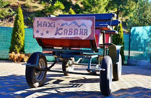 Dorna Arini Casa | Maxi Kabana Bucovina