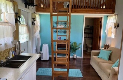 Belfast Casa | Maxi's Great Escape