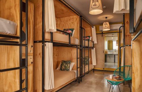 Marina Hotel | Mayan Monkey Los Cabos - Social Hotel